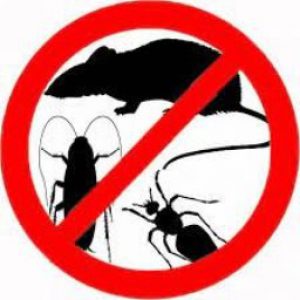 Putukate ja näriliste hävitamine